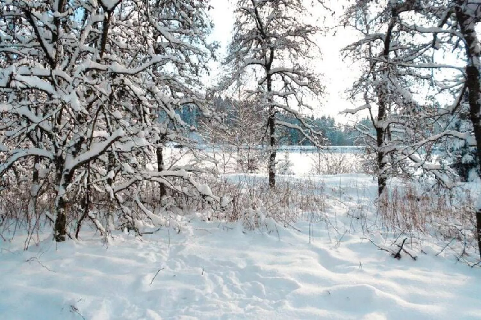 FEWO Bruns-Gebied winter 20km
