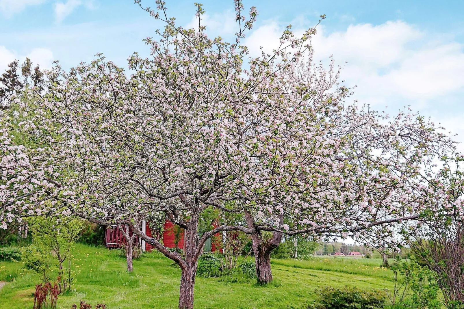 5 persoons vakantie huis in STORVIK-Buitenlucht