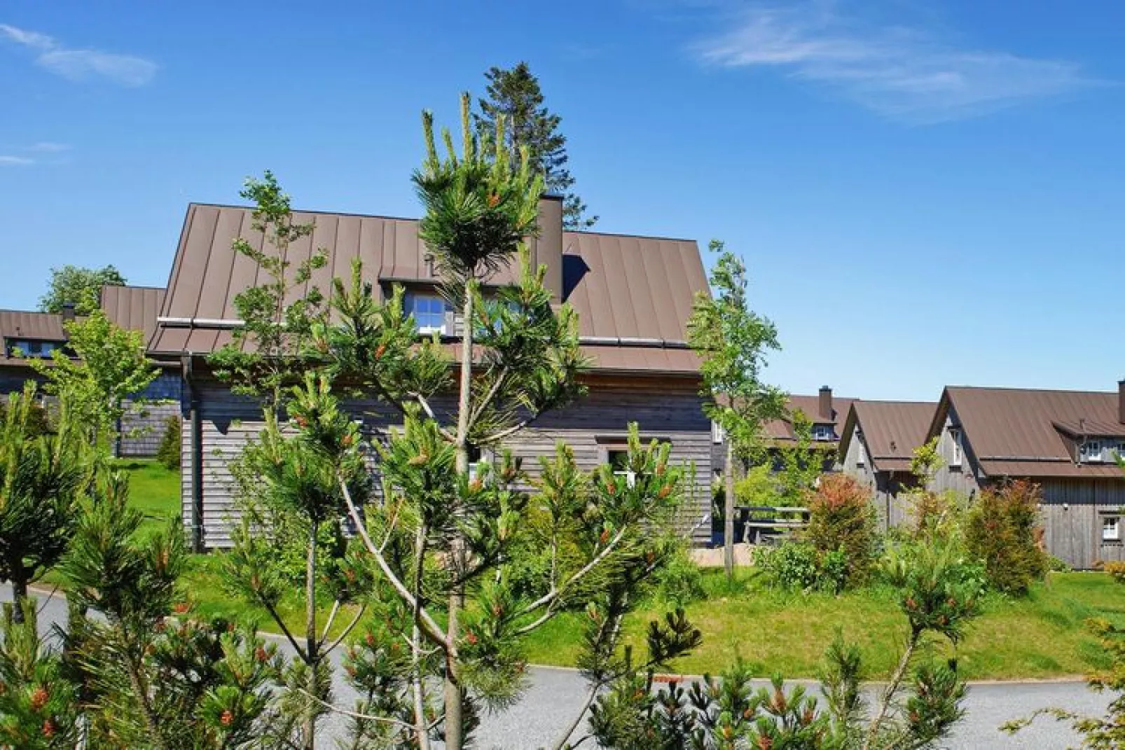 Ferienhaus Typ Premium Lodge Plus 4 Personen-Buitenkant zomer
