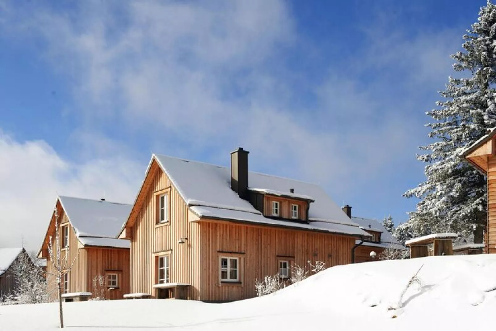 Ferienhaus Typ Premium Lodge Plus 5 Personen-Exterieur winter