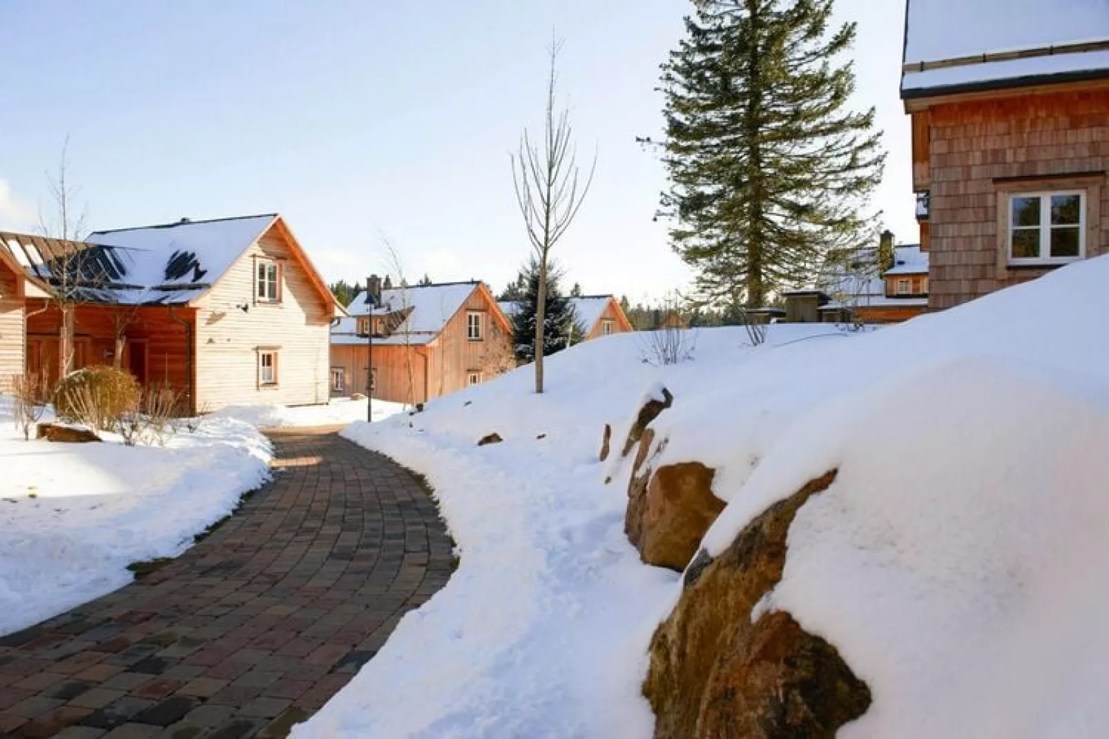 Ferienhaus Typ Premium Lodge Plus 5 Personen-Exterieur winter
