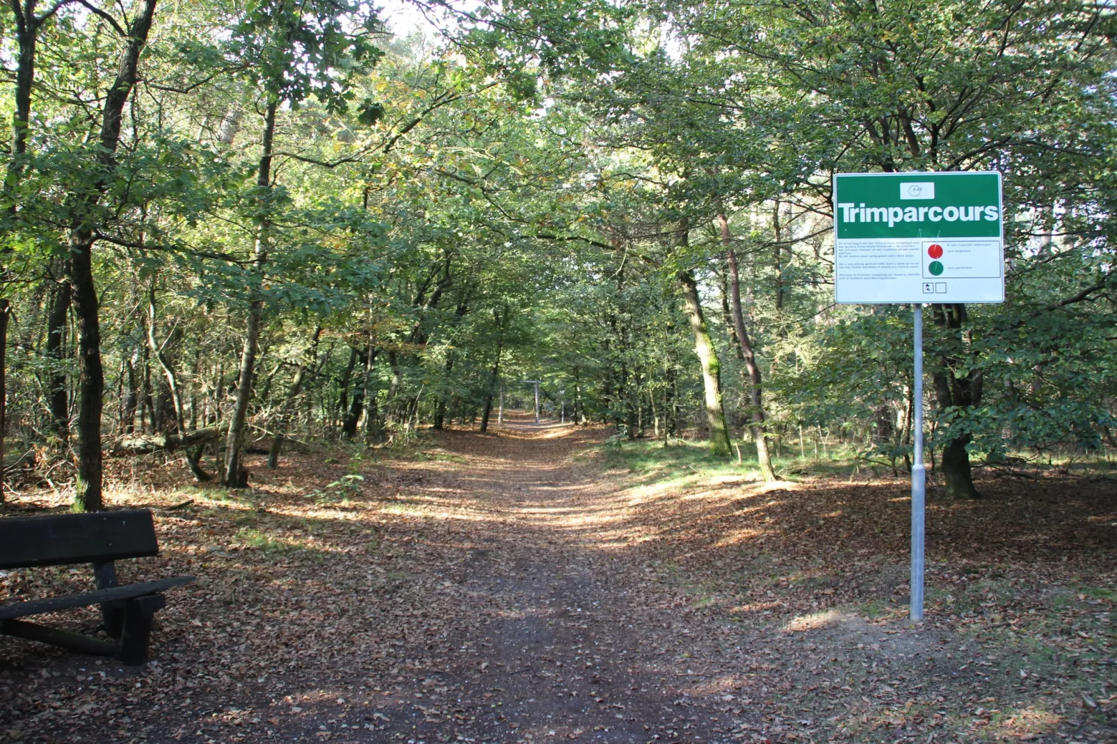 Wijsthoeve-Gebieden zomer 1km