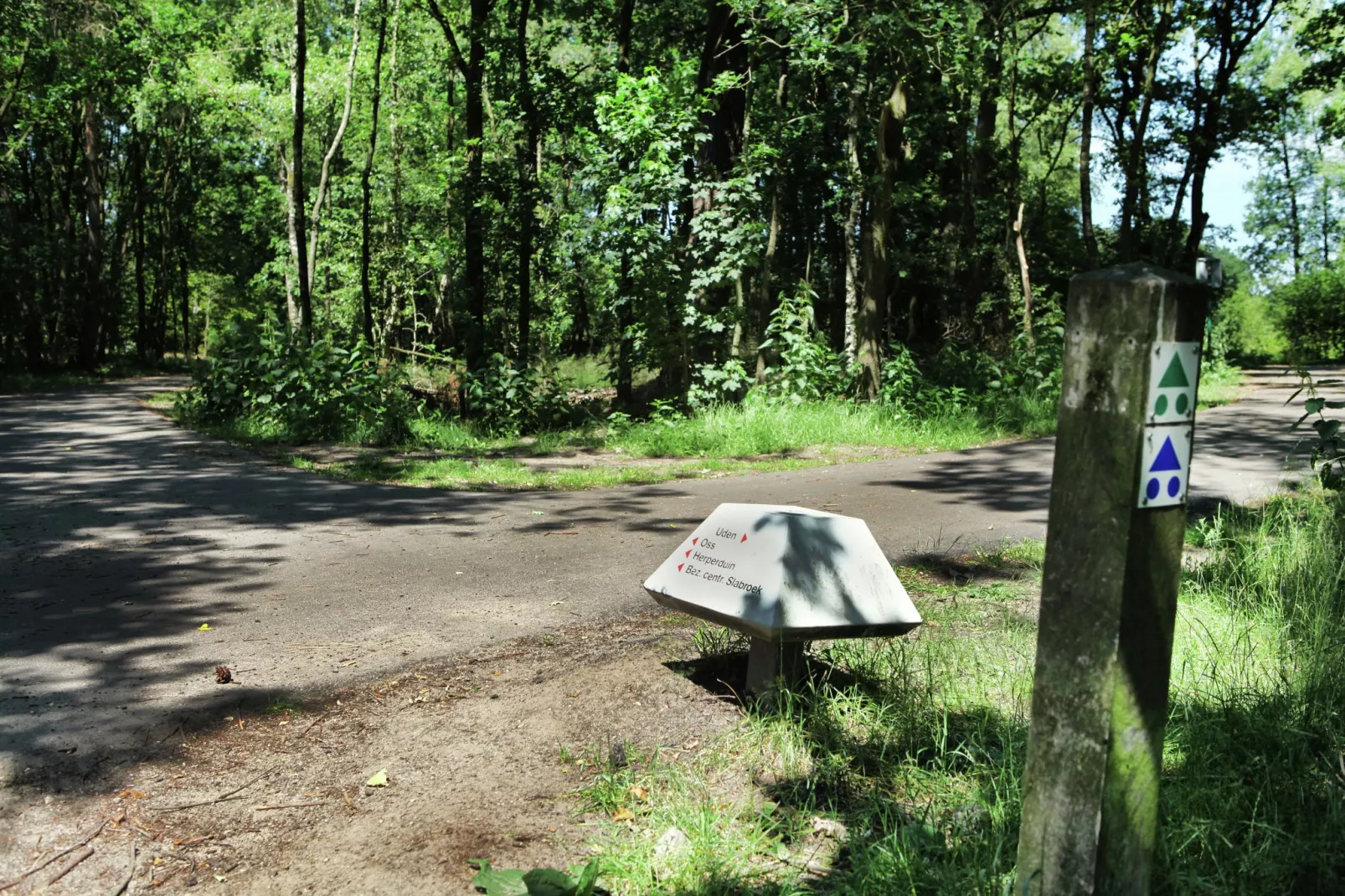 Wijsthoeve-Gebieden zomer 1km