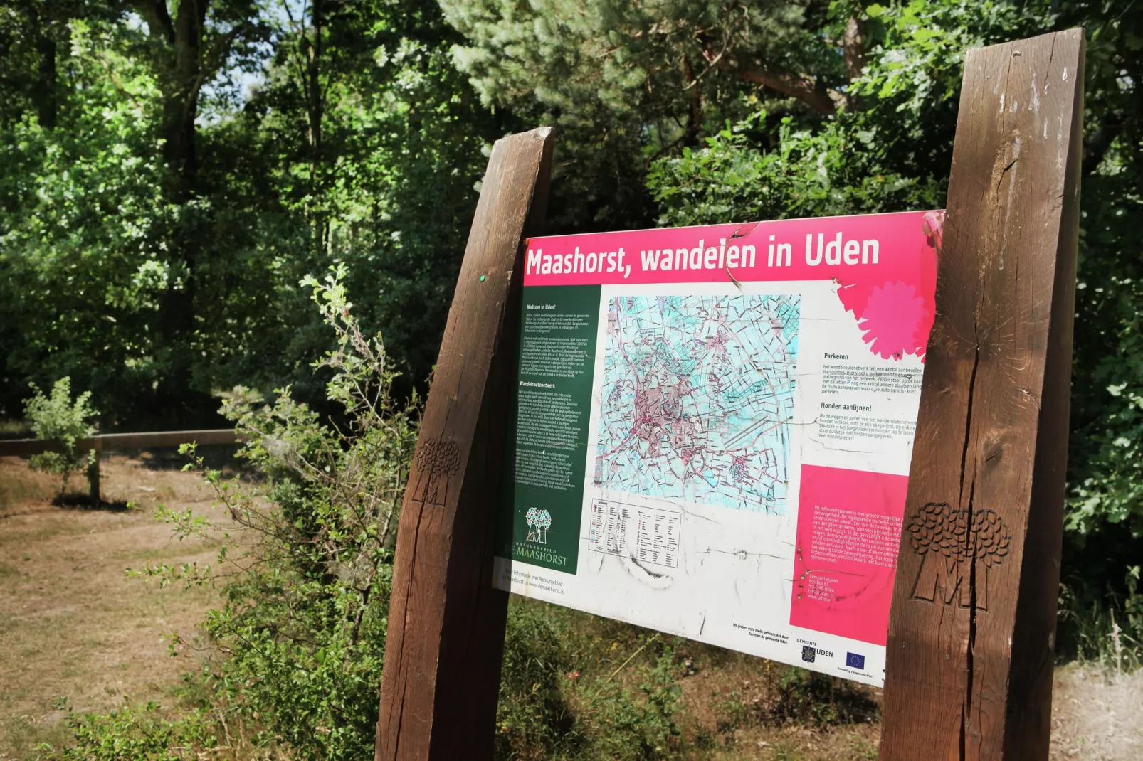 Wijsthoeve-Gebieden zomer 1km