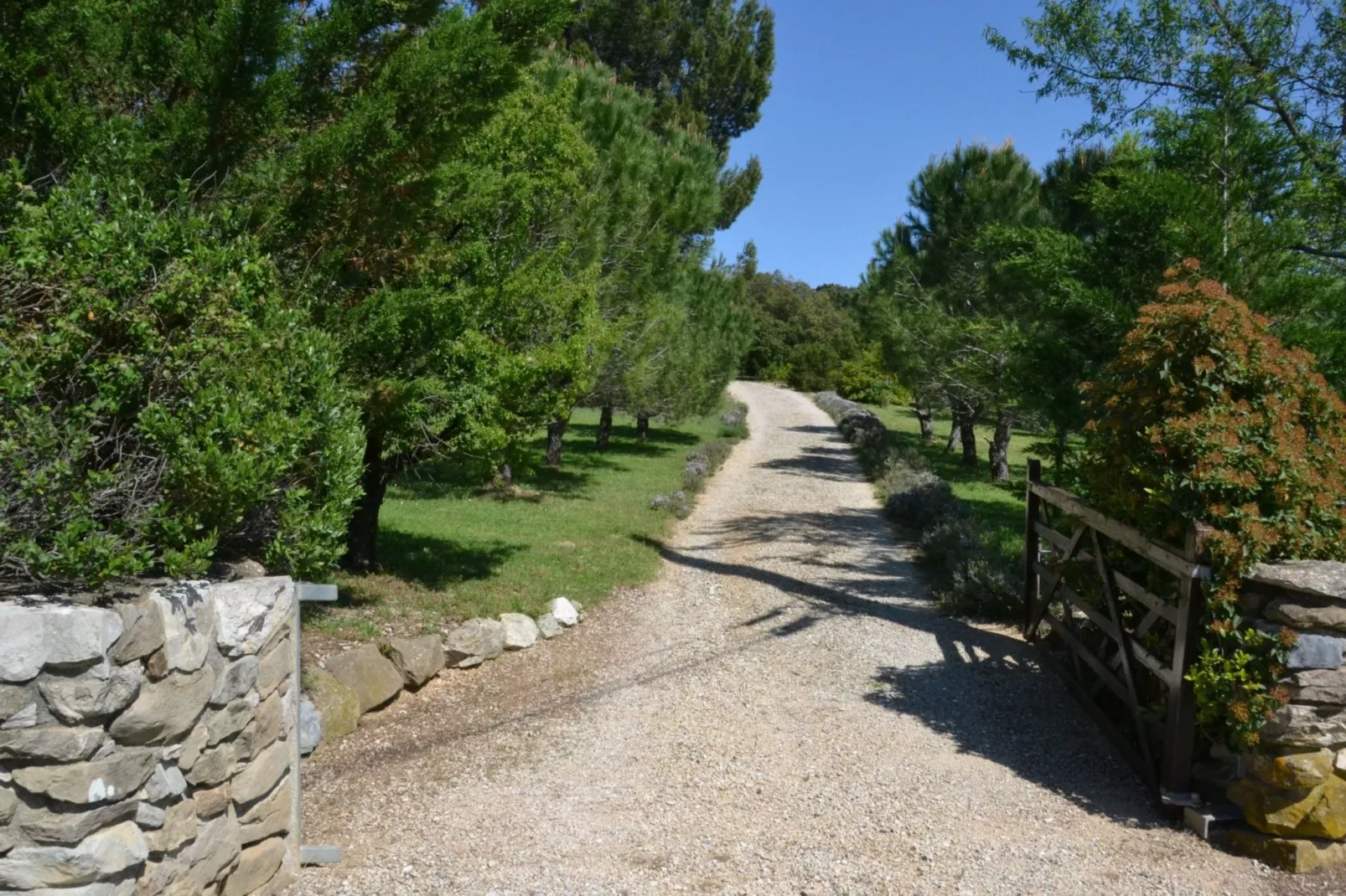 La Pampa-Gebieden zomer 1km