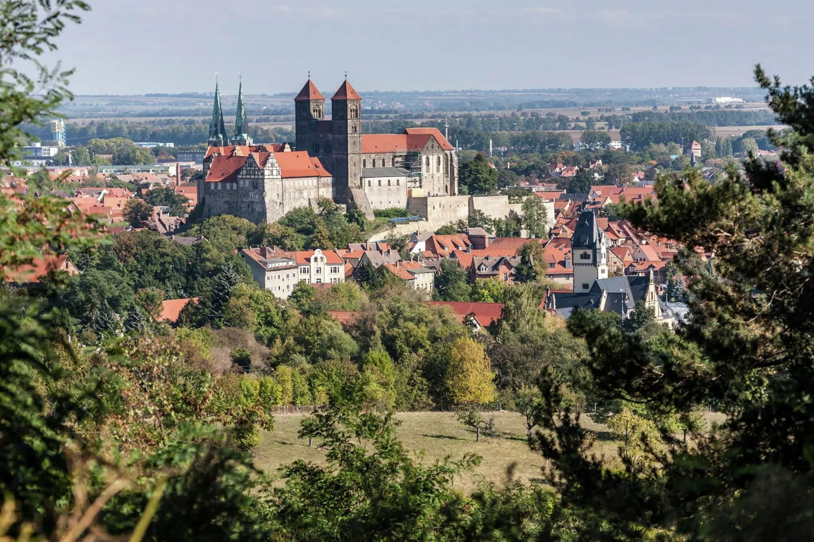 Bodeblick-Gebieden zomer 20km