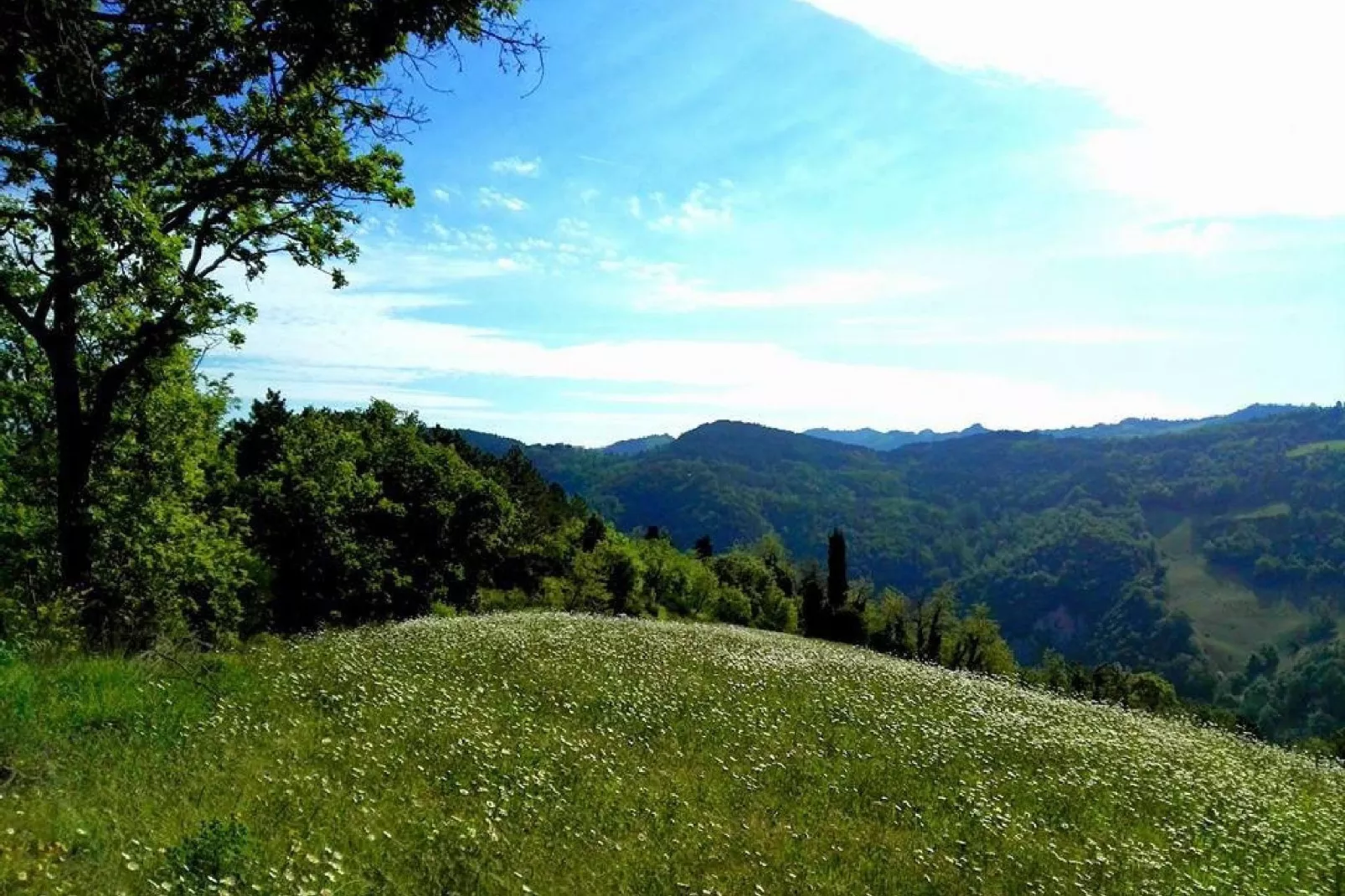 Borgata Porpora Due - Gebieden zomer 1km