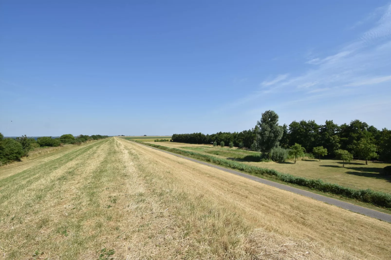 De Notenweide-Gebieden zomer 1km