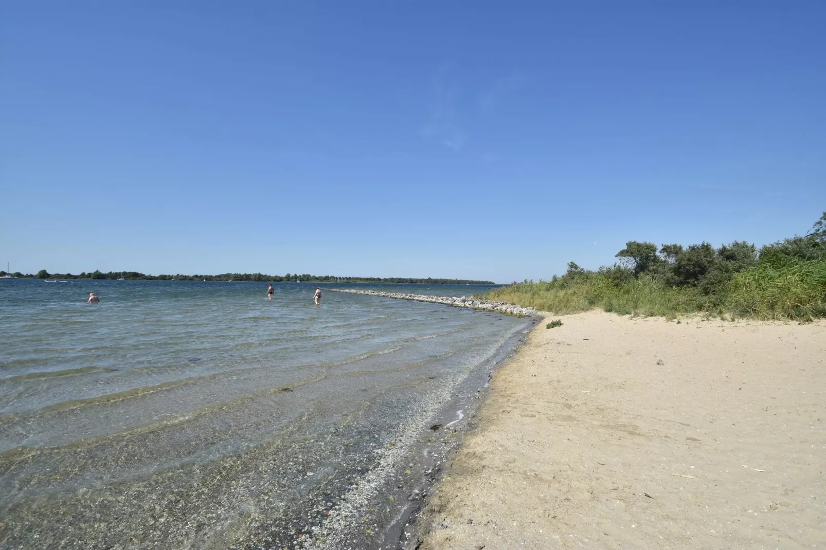 De Notenweide-Gebieden zomer 1km