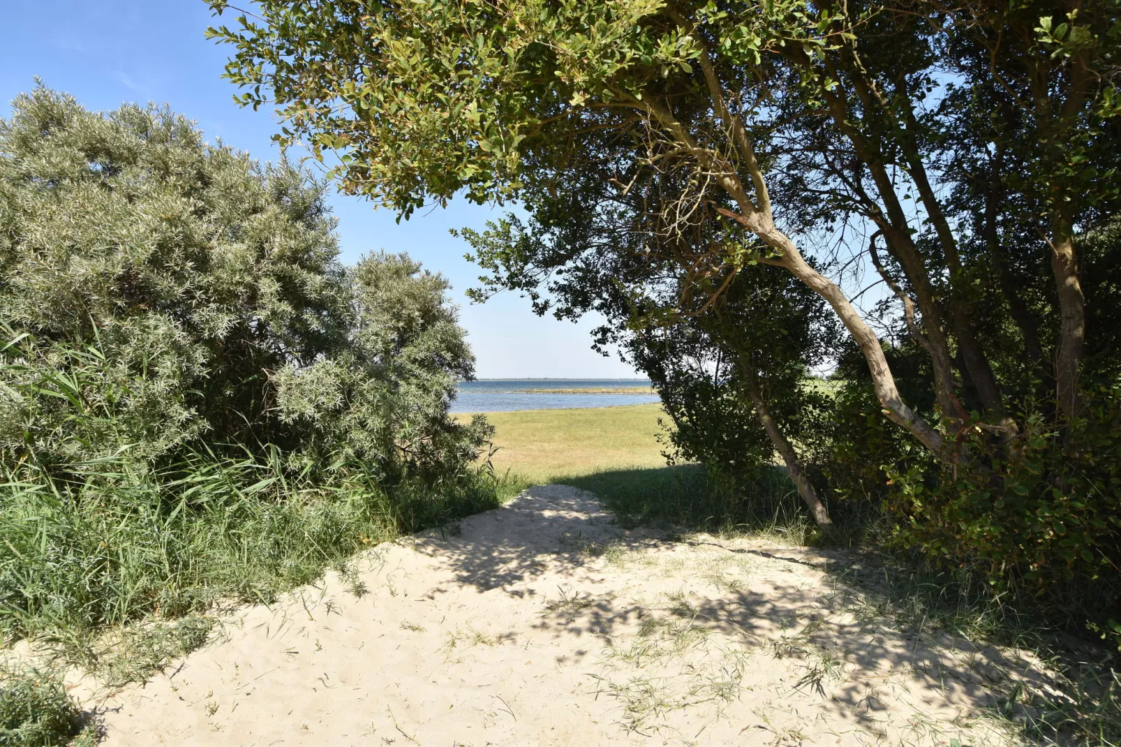 De Notenweide-Gebieden zomer 1km