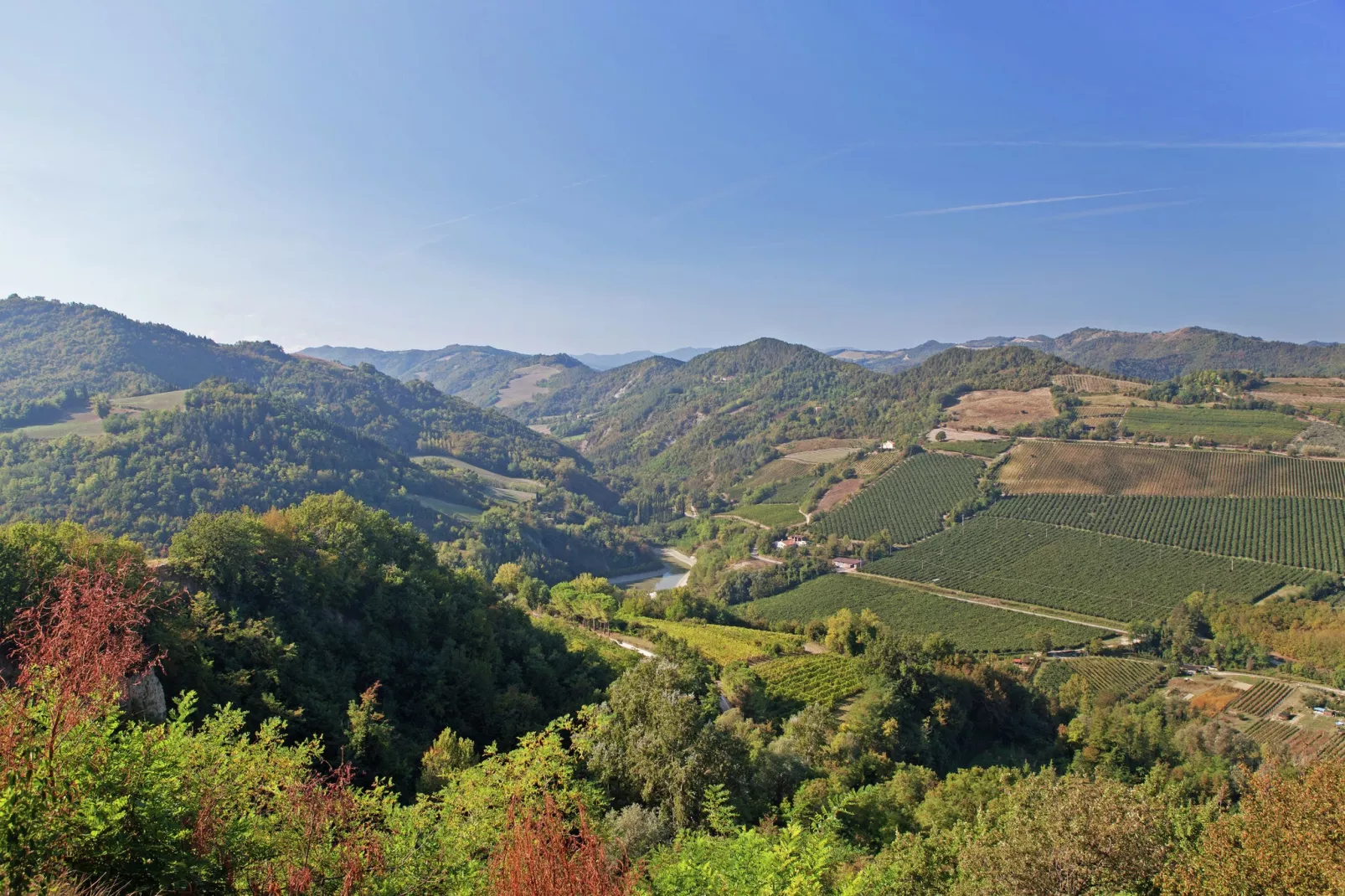 Appartamento Le Colline-Uitzicht zomer