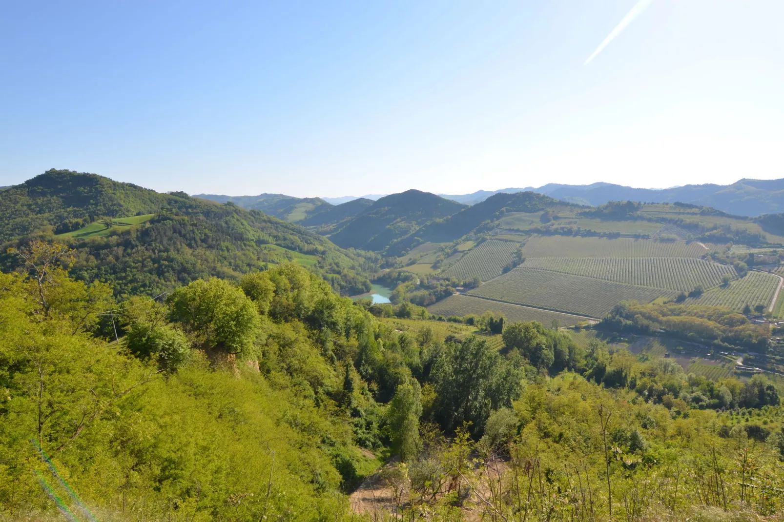 Appartamento Le Colline-Uitzicht zomer