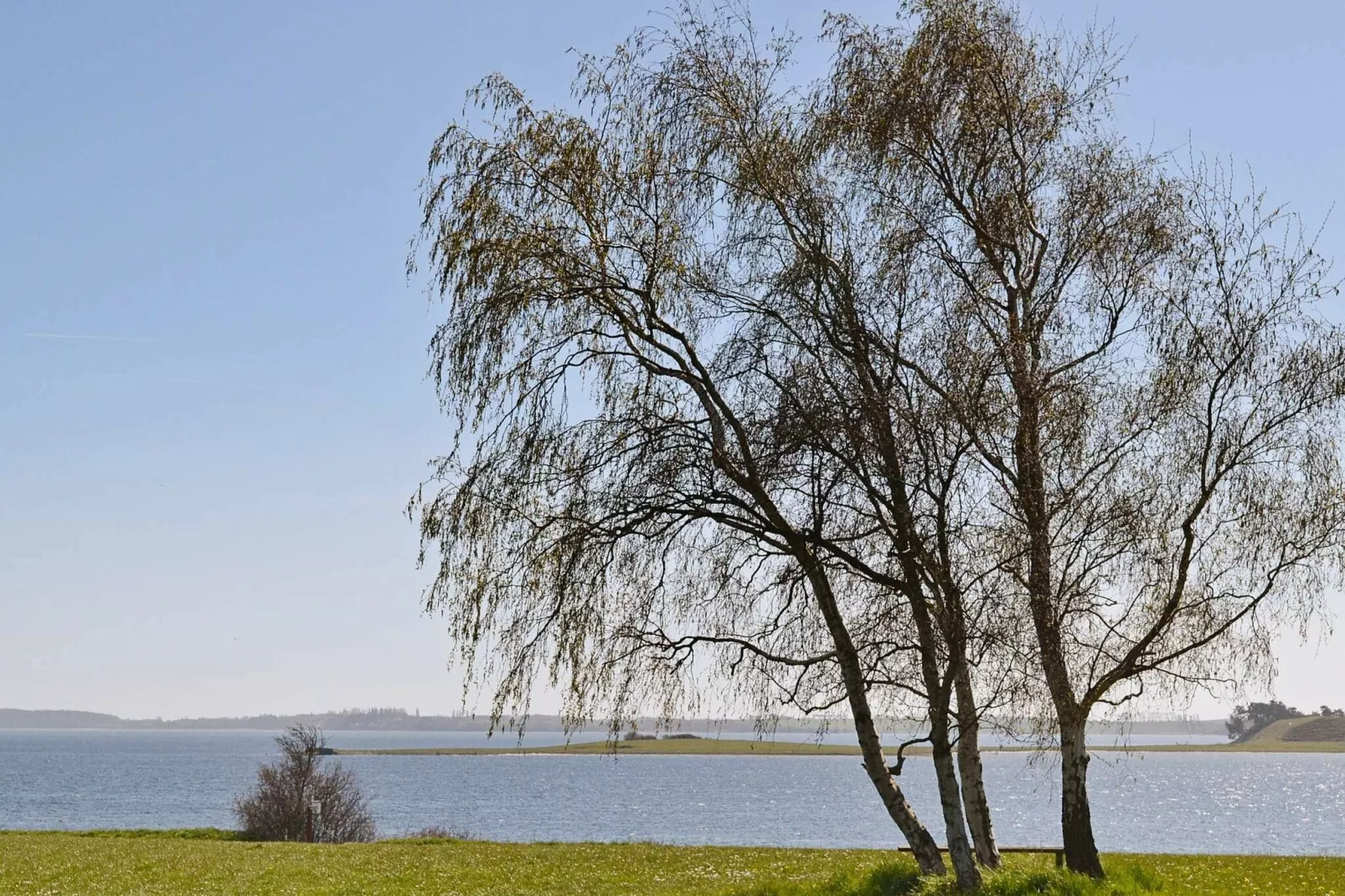 6 persoons vakantie huis in Haarby-By Traum-Niet-getagd