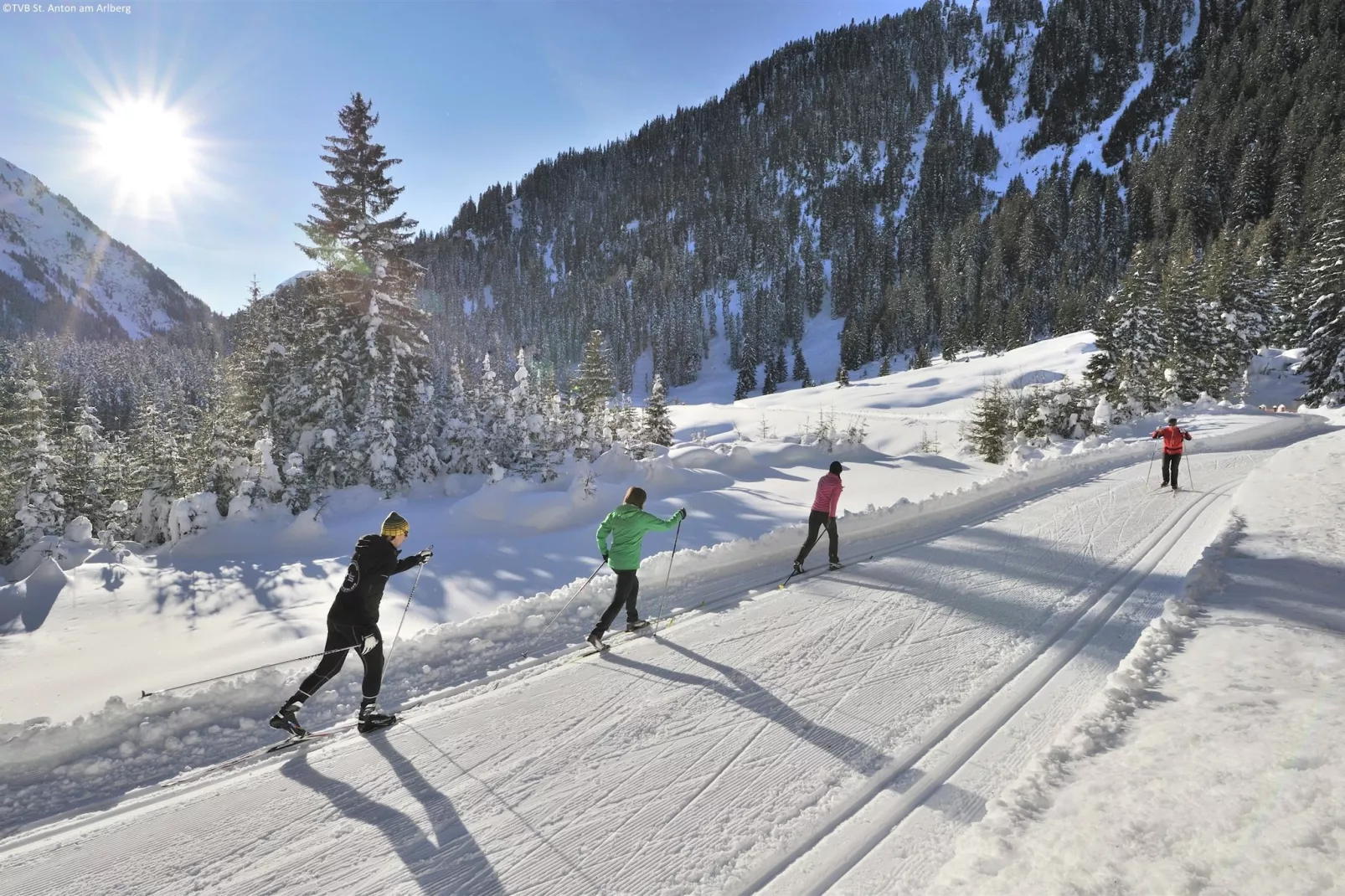 Luxus-Chalet Alpinum-Gebied winter 5km