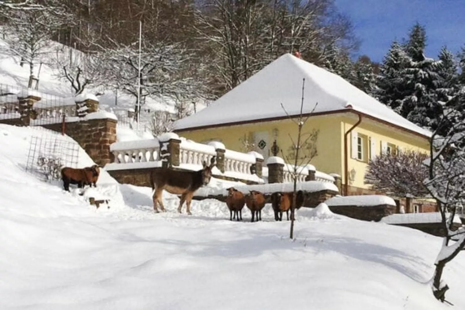 Ferienhaus Villa Roma 3-4 Pers 70 qm-Exterieur winter