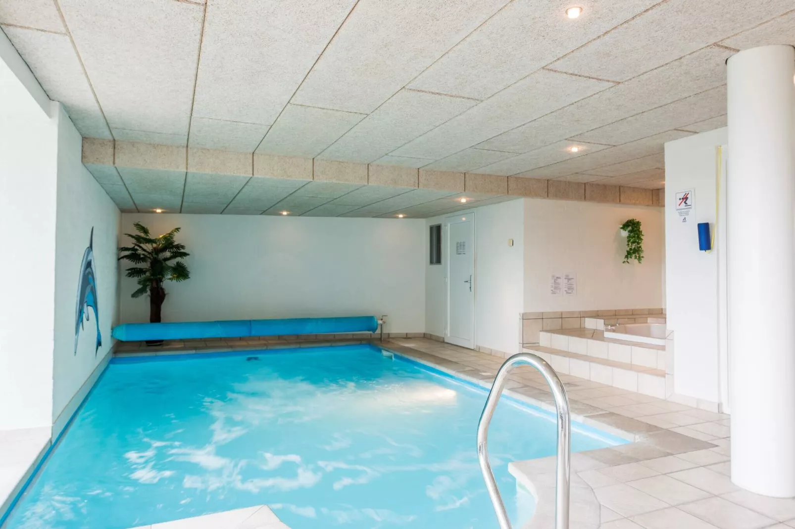 12 persoons vakantie huis in Blåvand-Zwembad