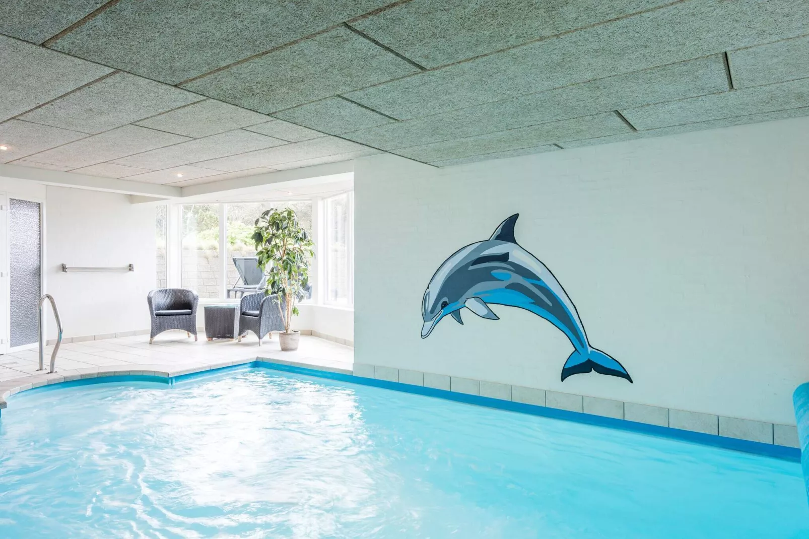 12 persoons vakantie huis in Blåvand-Zwembad