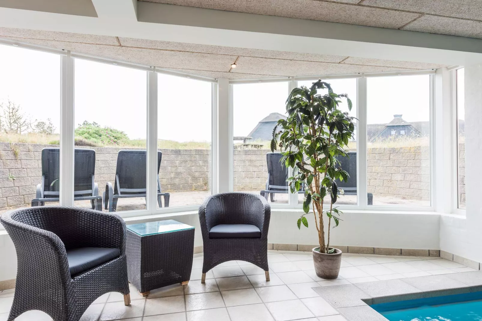 12 persoons vakantie huis in Blåvand-Zwembad