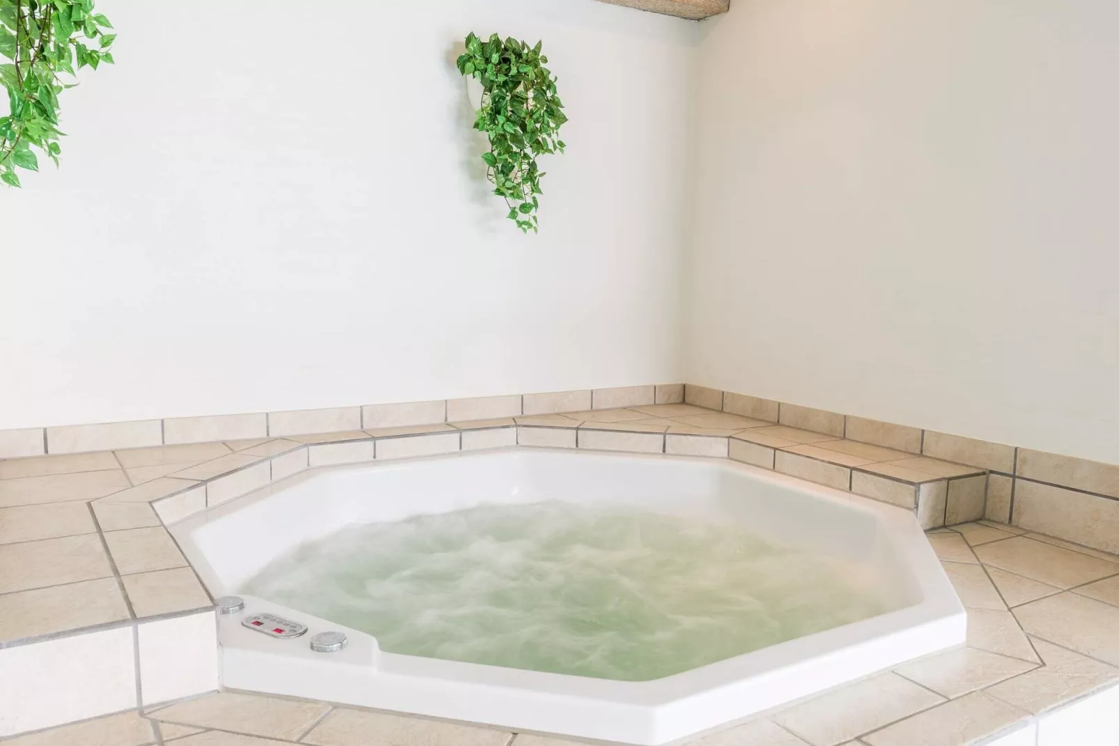 12 persoons vakantie huis in Blåvand-Spa