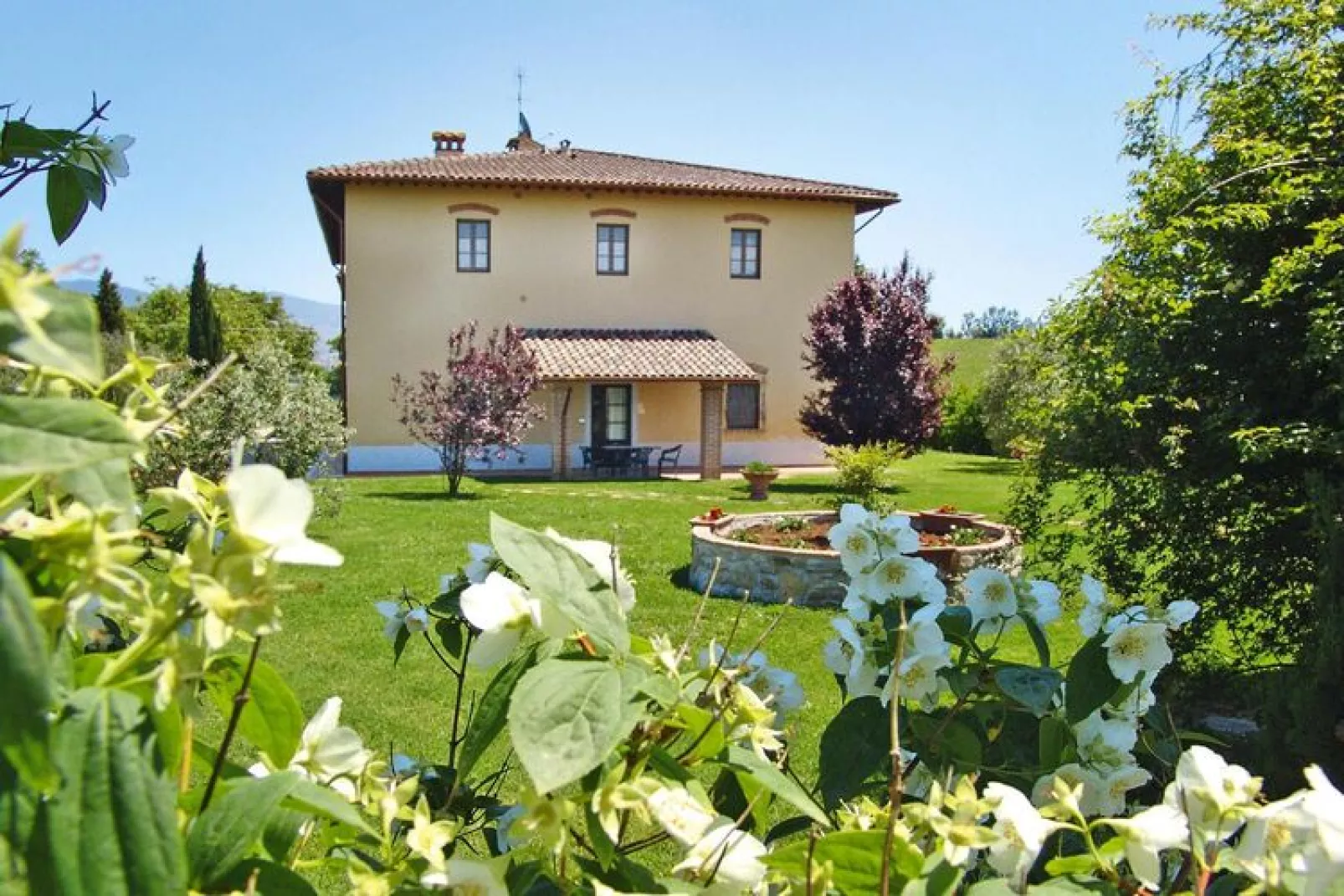 Agri-tourism Poggio al Sole Vinci Type Girasole Biancospino