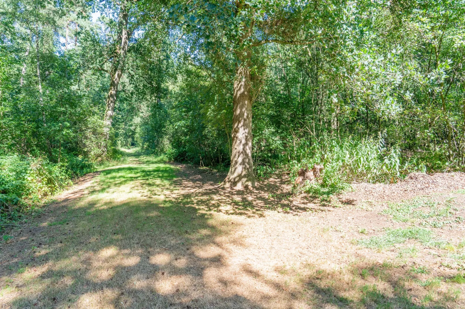 Boschhuis Boucle-Gebieden zomer 5km