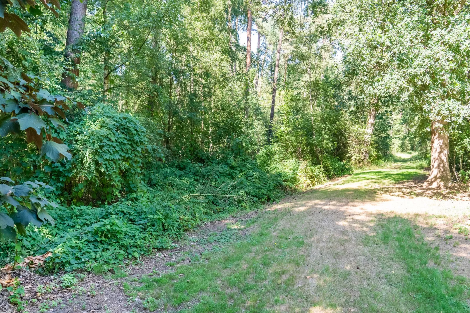 Boschhuis Boucle-Gebieden zomer 5km