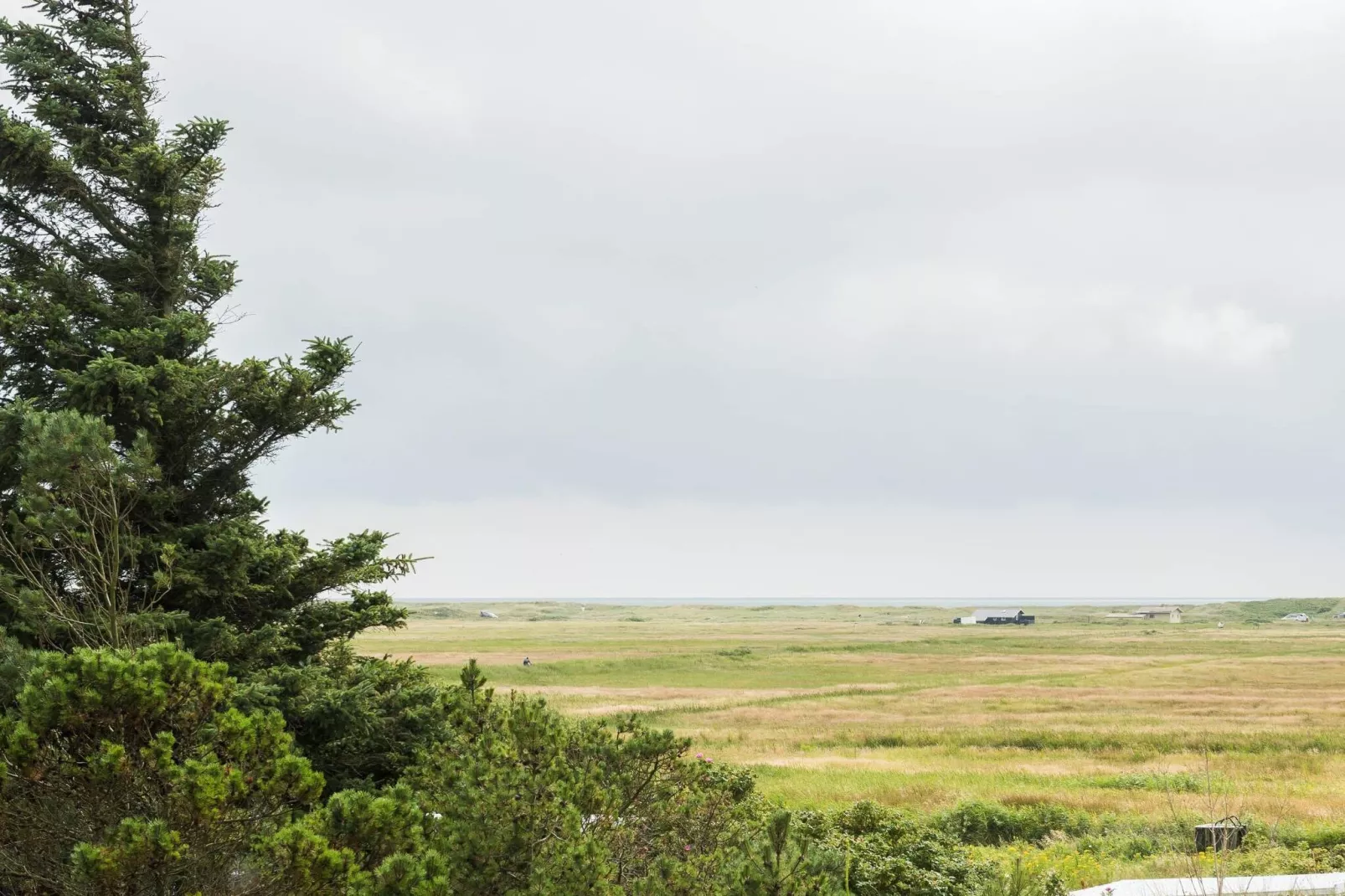 6 persoons vakantie huis in Blåvand-Waterzicht