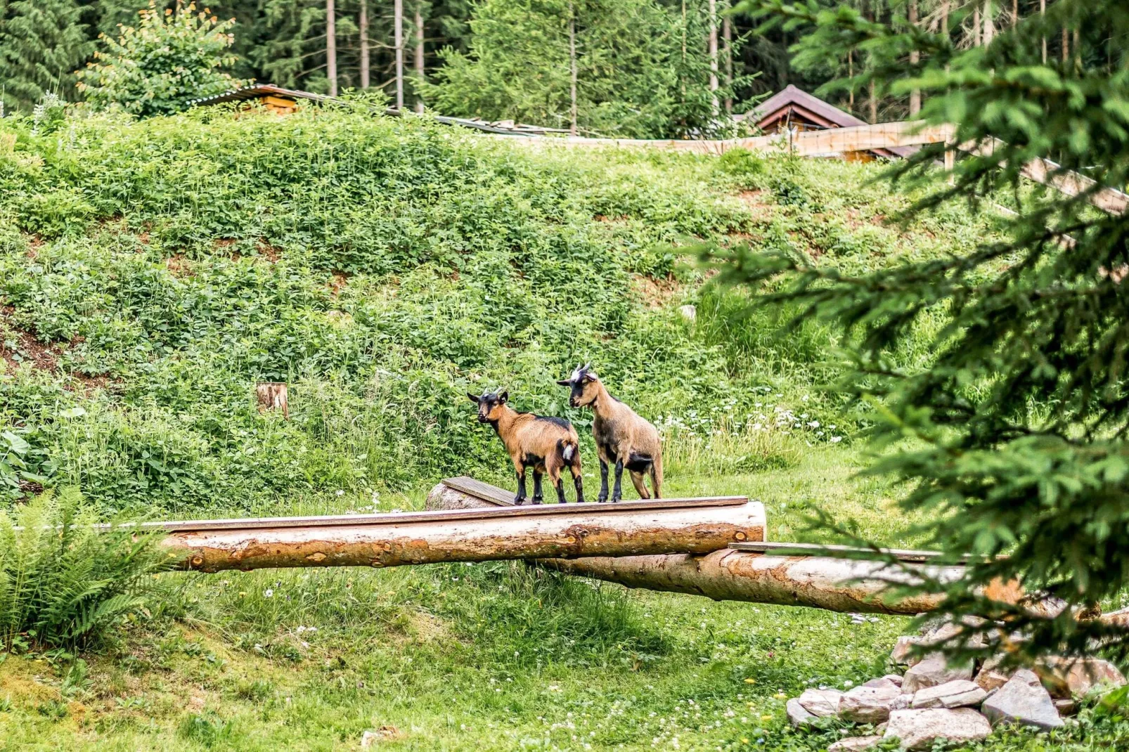 Im Erzgebirge-Parkfaciliteiten