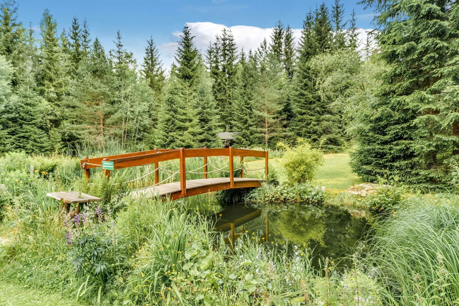 Im Erzgebirge-Gebieden zomer 1km