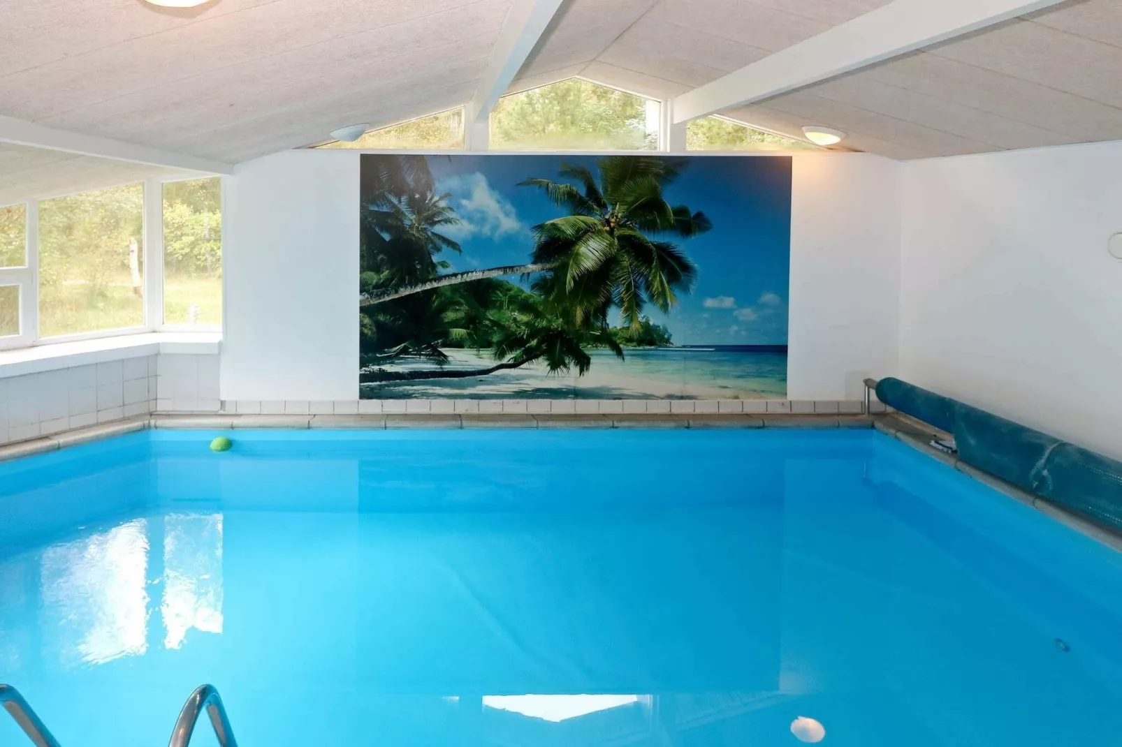 8 persoons vakantie huis in Hadsund-Zwembad