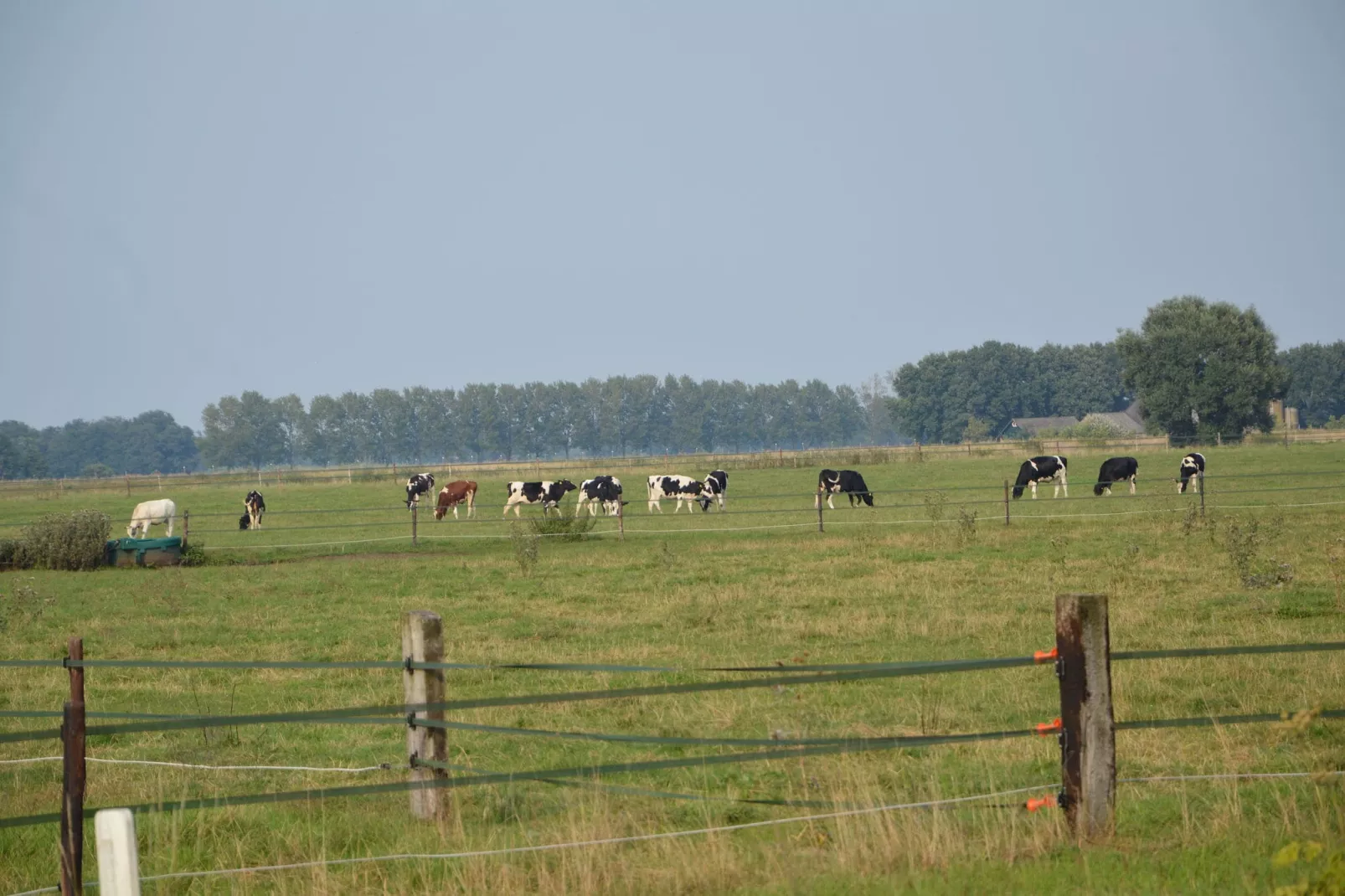 Erve Baak-Uitzicht zomer