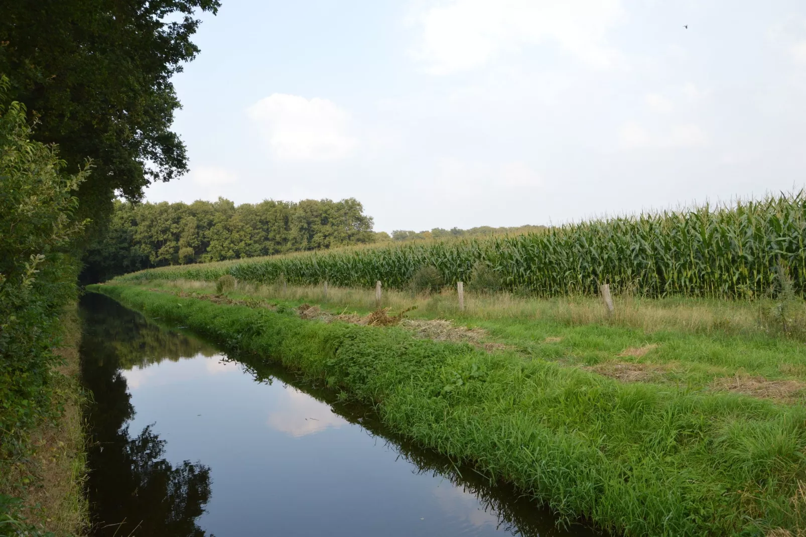 Erve Baak-Gebieden zomer 1km