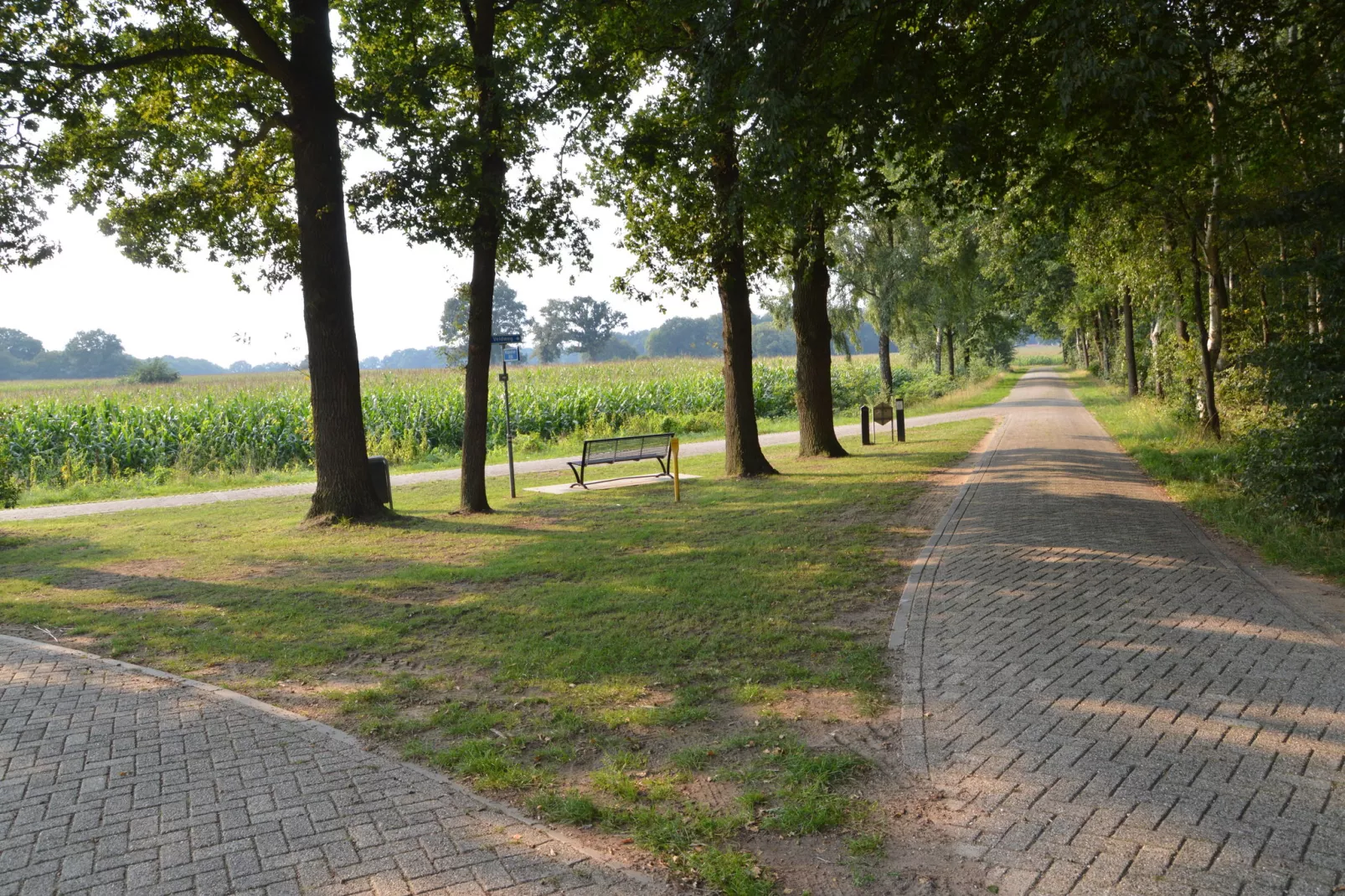 Erve Baak-Gebieden zomer 5km