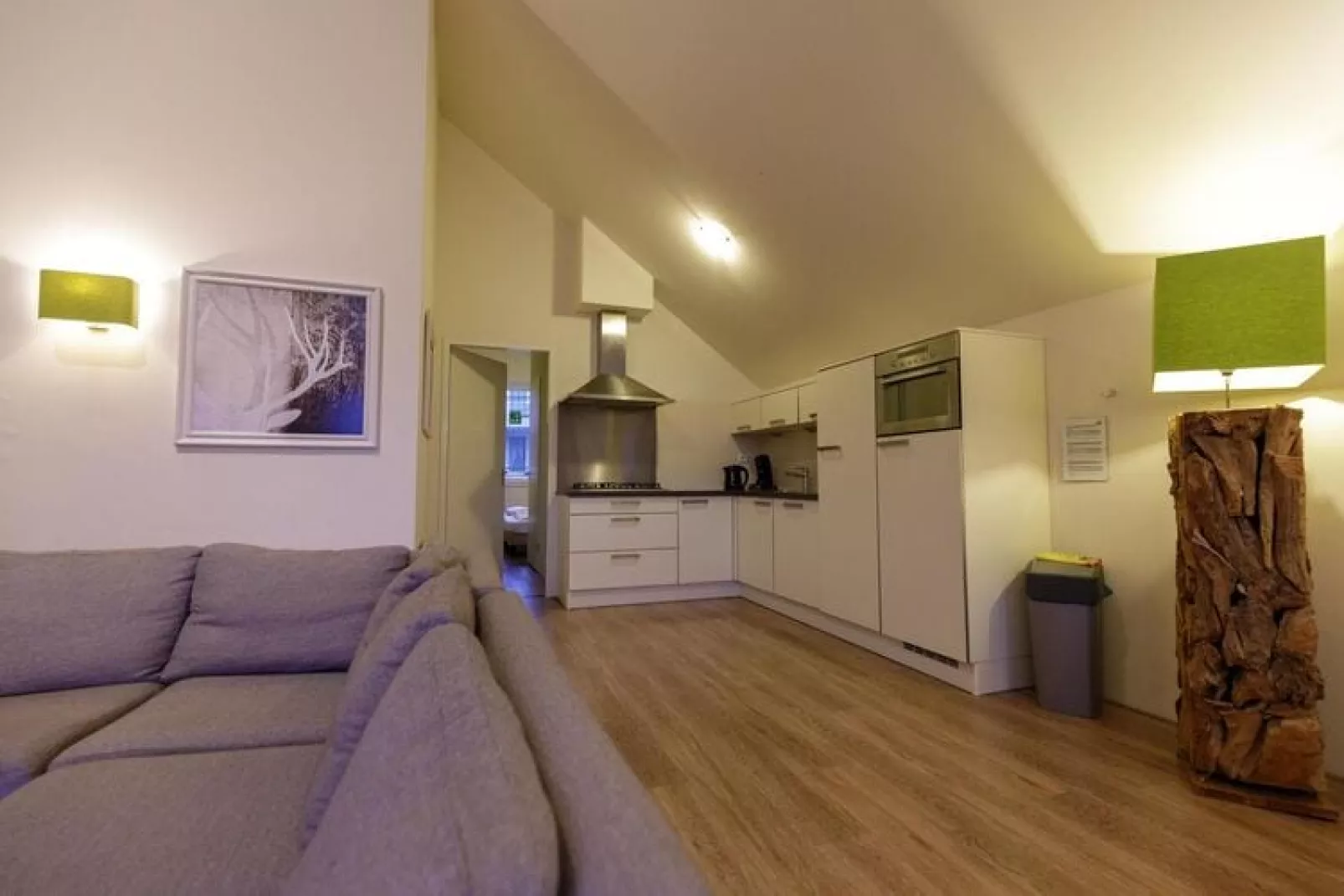Eifeler Tor - Appartement Biggesee-Woonkamer