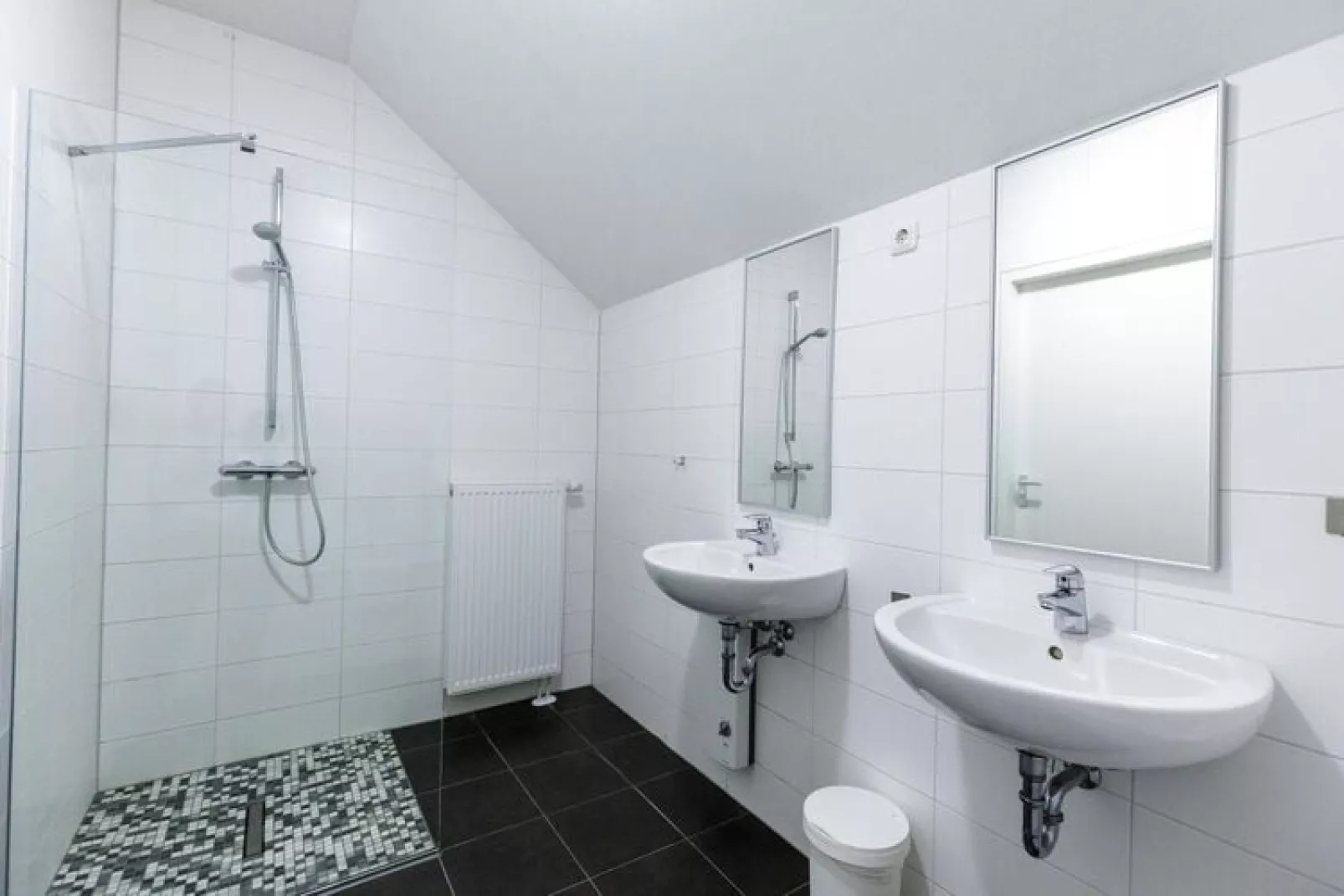 Eifeler Tor - Appartement Biggesee-Badkamer