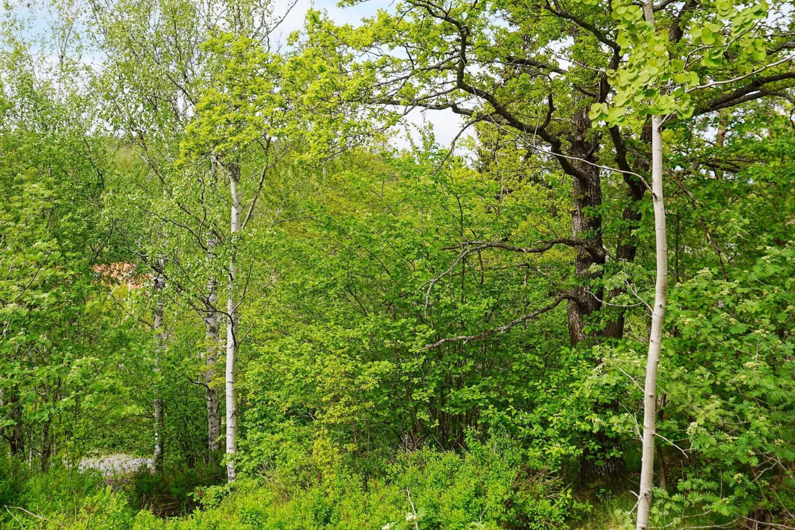 2 persoons vakantie huis in HANINGE-Buitenlucht