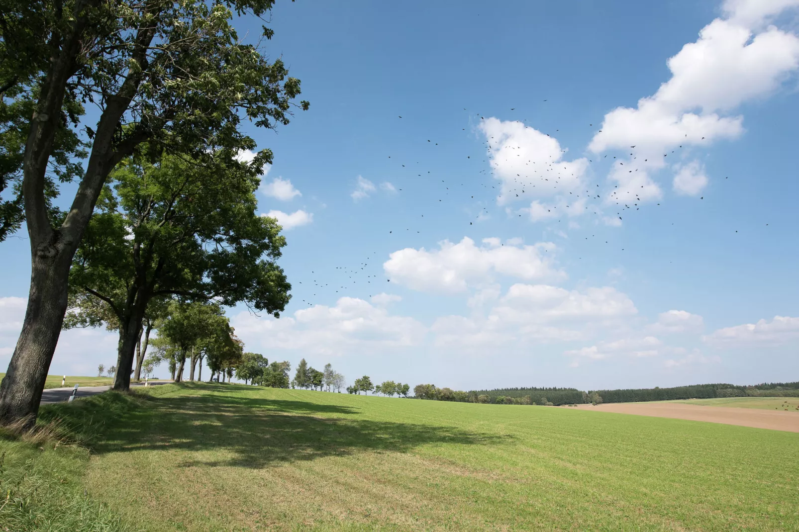 Honighäusl-Gebieden zomer 20km