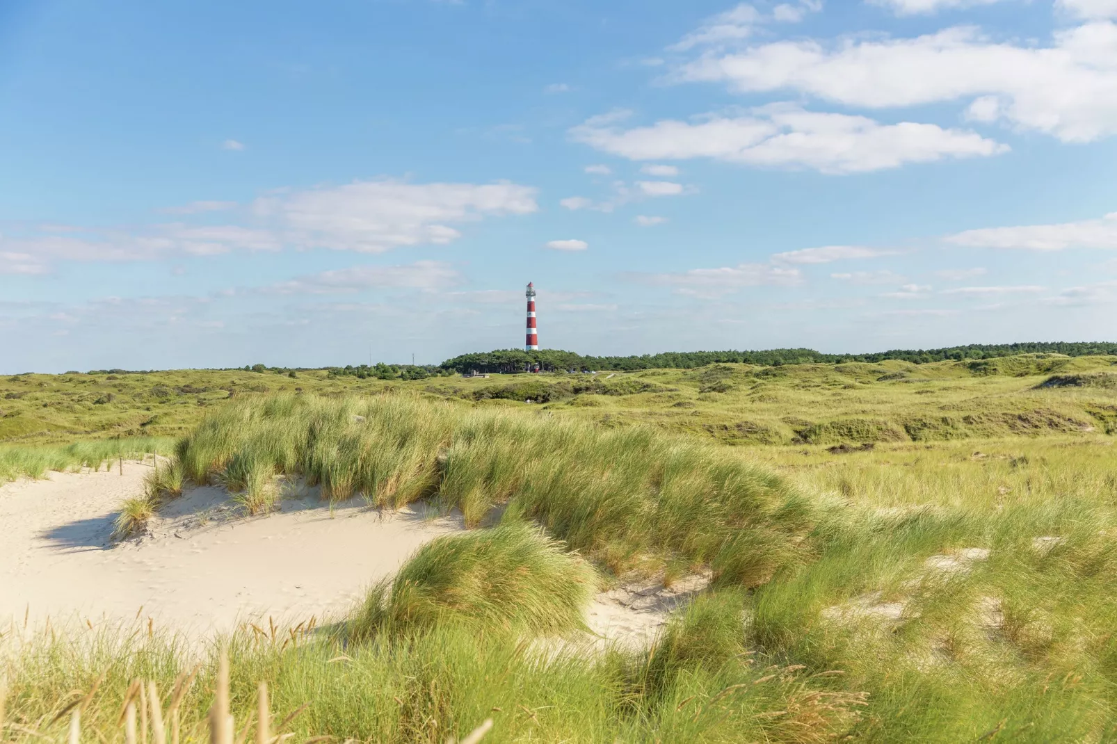 Vakantiepark Boomhiemke 9-Gebieden zomer 5km