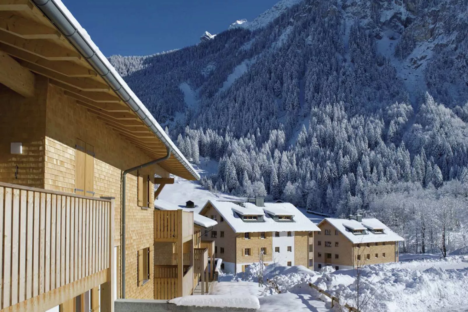 Mountain Lodge Brand-Exterieur winter