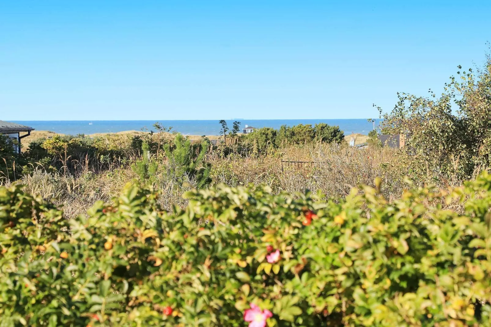 4 persoons vakantie huis in Hirtshals-Waterzicht