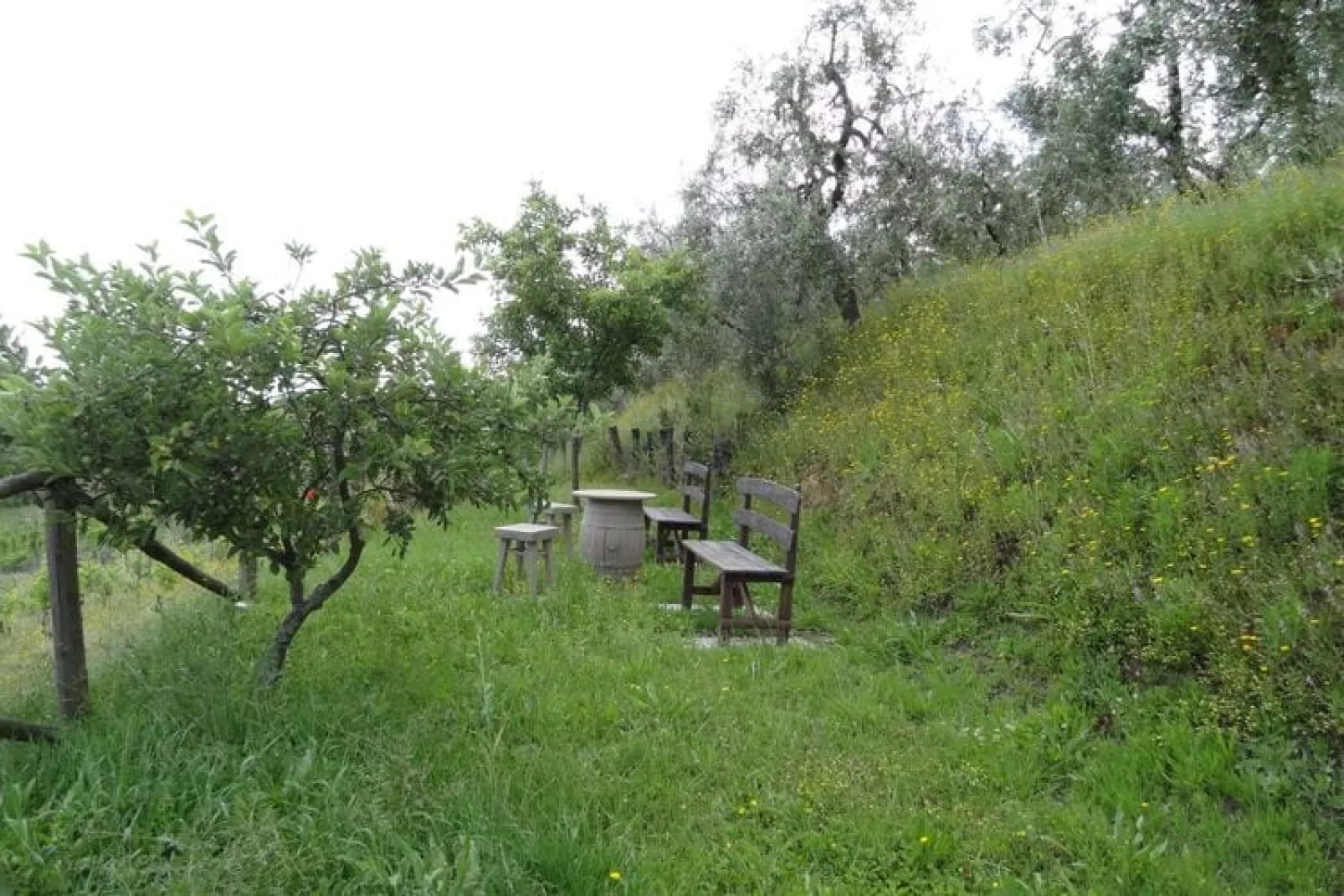 Ferienhaus Cerbaiola Lamporecchio Belegung mit bis zu 6 Personen-Buitenkant zomer