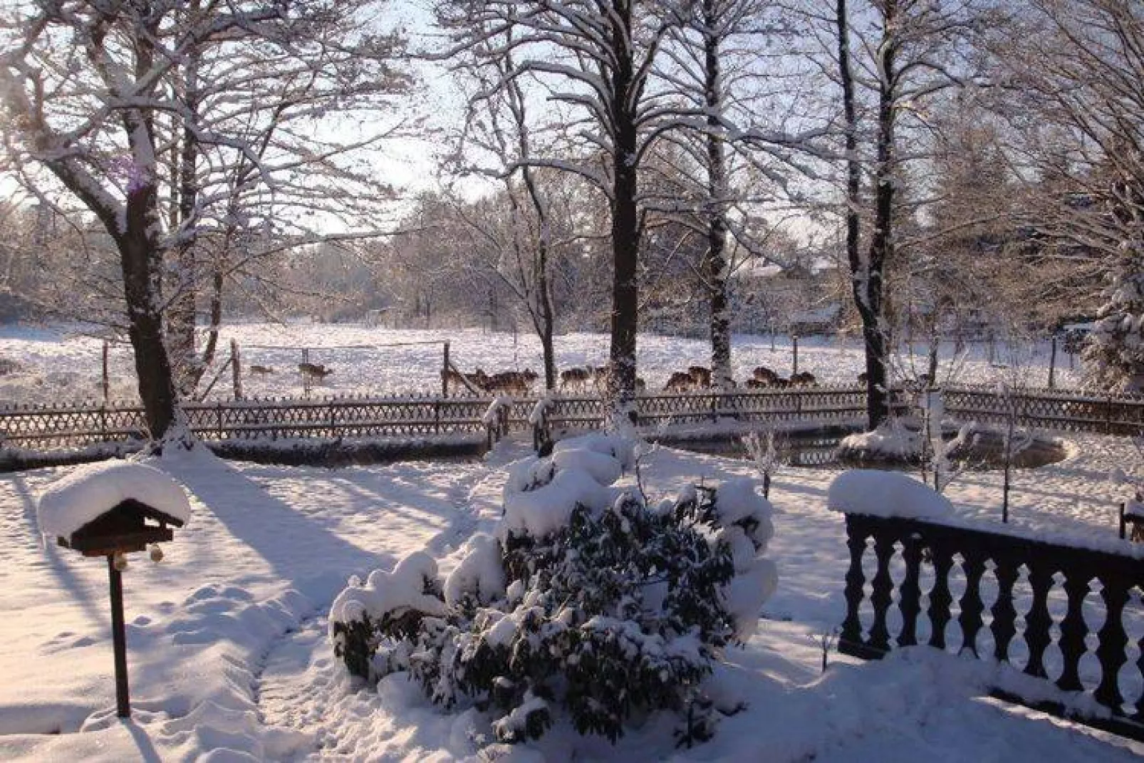 Ferienhaus im Erzgebirge-Tuin winter