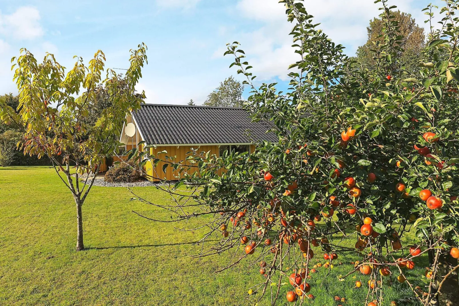 8 persoons vakantie huis in Faxe Ladeplads-Uitzicht