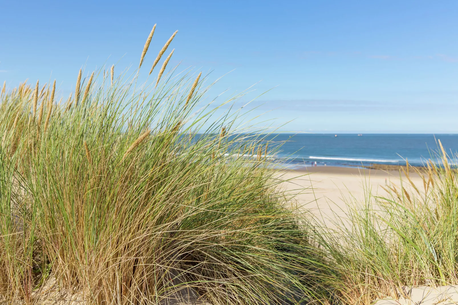 Vakantiepark Boomhiemke 9-Gebieden zomer 1km