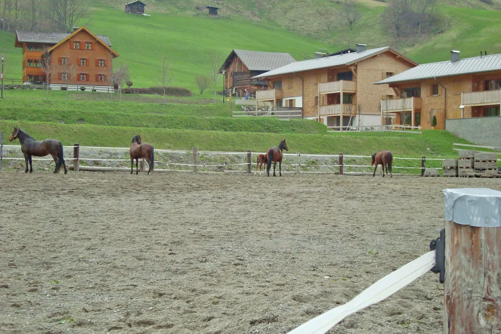 Mountain Lodge Brand-Gebieden zomer 1km