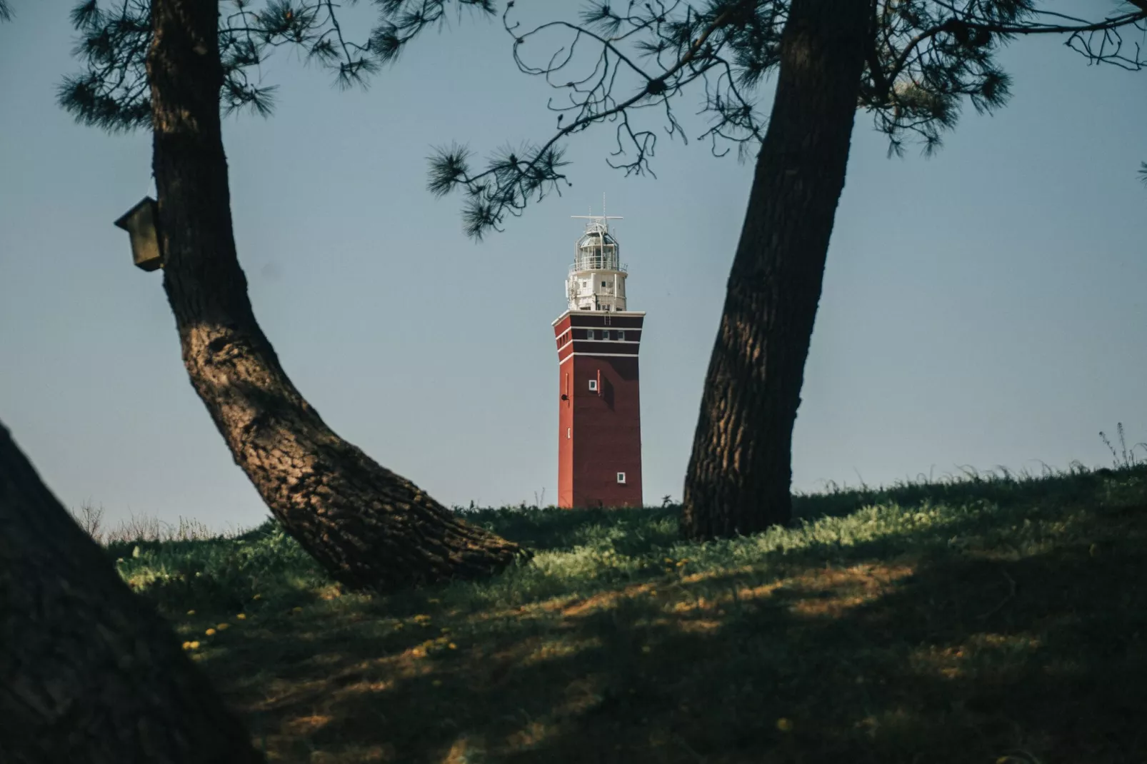 Vakantiepark Ridderstee Ouddorp Duin 3-Gebieden zomer 5km