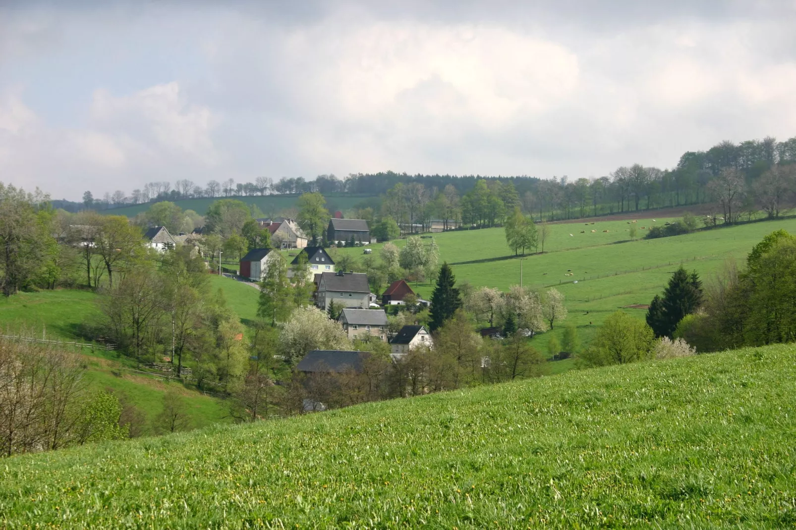 Im Erzgebirge-Gebieden zomer 5km