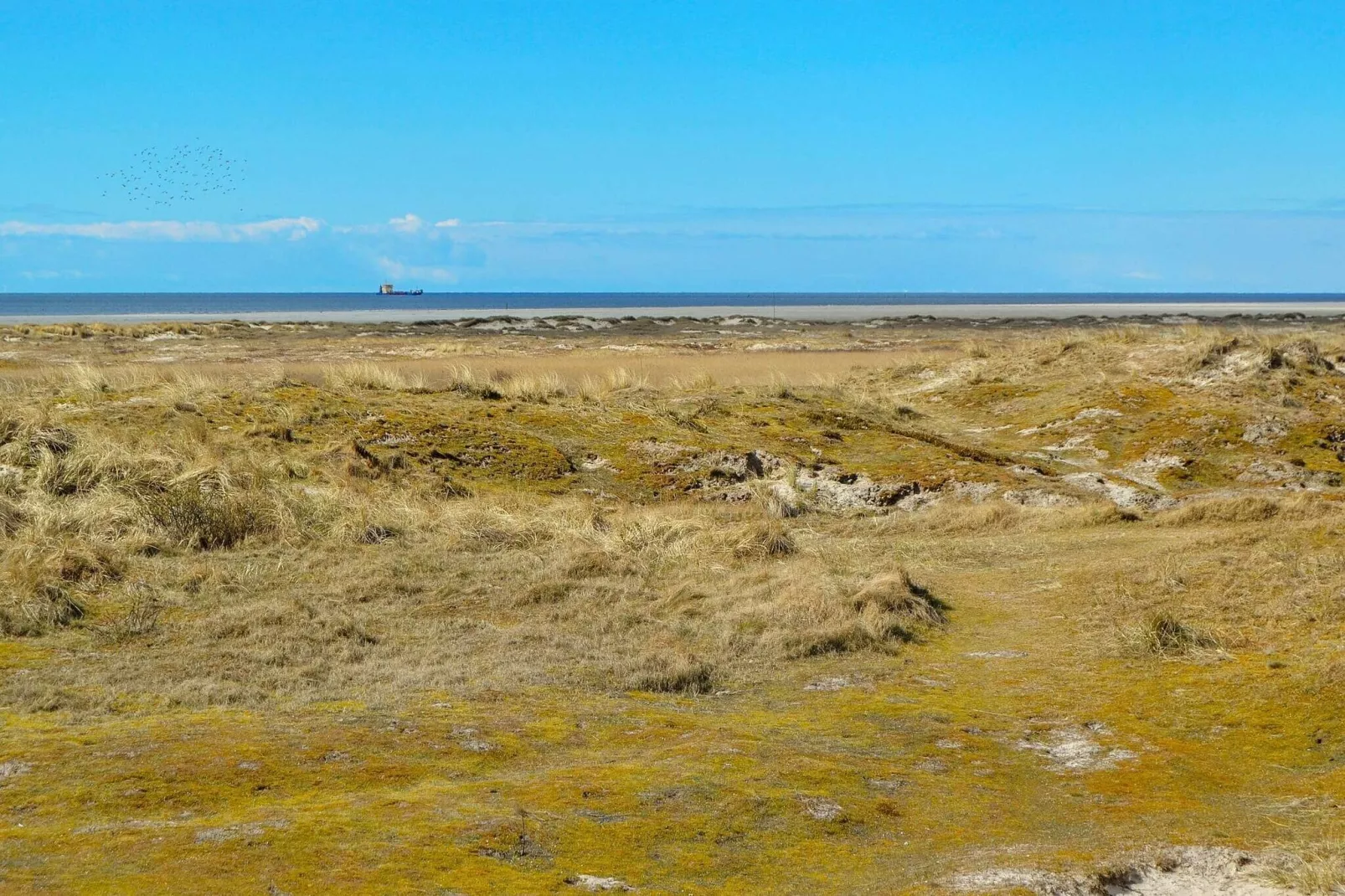 4 persoons vakantie huis in Fanø-Buitenlucht