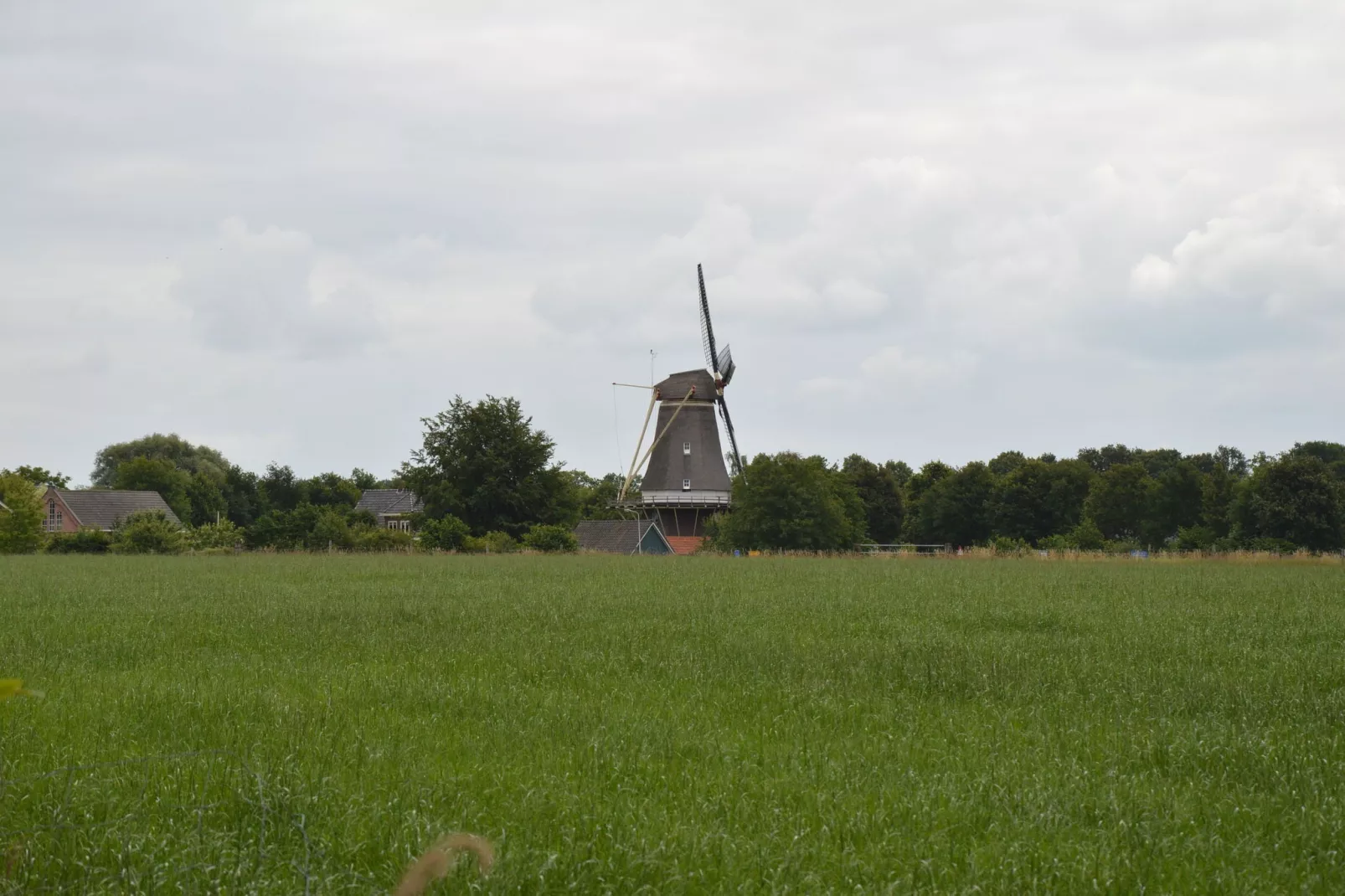 Bakhuus-Gebieden zomer 20km