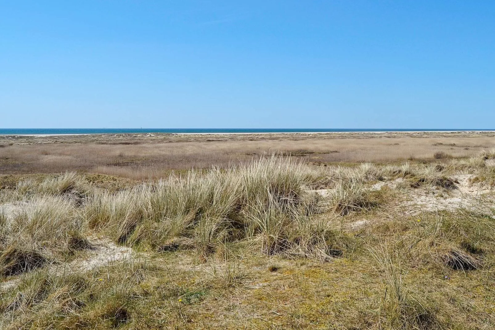 4 persoons vakantie huis in Fanø-Buitenlucht